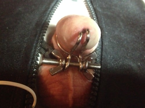 CBT, cock and ball torment, chastity, key holding, testicles, SPH, cock milking, Venus 2000, weights, balls, penis electro-stim, urethral sounds in Dungeon in Auckland New Zealand by Dominatrix 